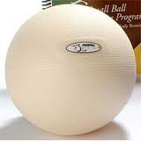 【中古】【輸入品・未使用】FitBall Body Therapy-Small Ball Release Program 6 Intermediate (pearl) by Rolyn Prest｜スカイマーケットプラス