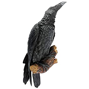 【中古】【輸入品・未使用】止まり木に止まるカラス 壁掛け彫刻 鳥自然オブジェ 彫像/ Design Toscano The Raven's Perch Wall Sculpture（並行輸入品