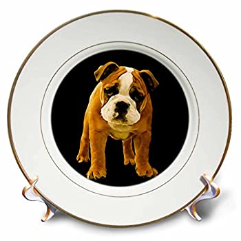 【中古】【輸入品・未使用】CP 3660犬ブルドッグ???Bulldog Puppy???プレート 8 inch Porcelain Plate cp_3660_1
