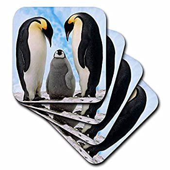 【中古】【輸入品・未使用】(set-of-8-Soft) - 3dRose LLC cst_4180_2 Emperor Penguin Family Soft Coasters%ｶﾝﾏ% Set of 8