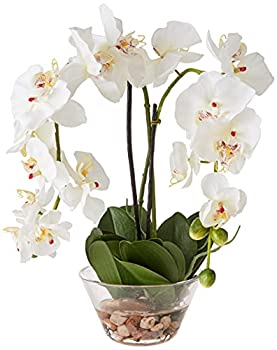 【中古】【輸入品・未使用】ガラスの花瓶シルクフラワーアレンジメントと自然に近い4643-WH胡蝶蘭 [並行輸入品]
