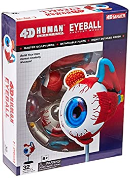 【中古】【輸入品・未使用】[TEDCO]TEDCO Human Anatomy Eyeball Anatomy Model 26054 [並行輸入品]｜スカイマーケットプラス