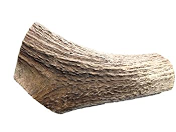 【中古】【インポート品・未当てはめる】QT Dog All Natural Chew Toy%ｶﾝﾏ% Monster by QT Dog