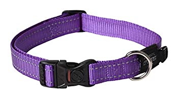【中古】【輸入品・未使用】ログズユーティリティー ファンベルト犬用首輪、Lサイズ Purple (並行輸入品)｜スカイマーケットプラス