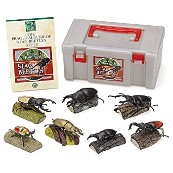 【中古】【輸入品・未使用】立体図鑑リアルフィギュアボックス スタッグビートル クワガタムシ｜スカイマーケットプラス