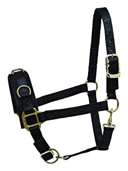 【中古】【輸入品・未使用】(Cob) - Perri's Nylon Lunge Caveson%ｶﾝﾏ% Black