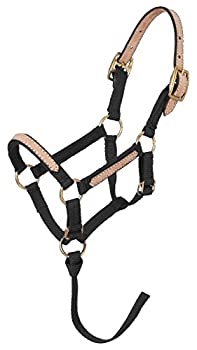 【中古】【輸入品・未使用】(Large Mini%ｶﾝﾏ% black) - Tough 1 Miniature Nylon Break-Away Halter