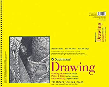 【中古】【輸入品・未使用】Strathmore Drawing Paper Pad 14%ﾀﾞﾌﾞﾙｸｫｰﾃ%X17%ﾀﾞﾌﾞﾙｸｫｰﾃ%-70lb 50 Sheets (並行輸入品)｜スカイマーケットプラス