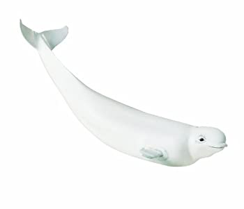 【中古】【輸入品・未使用】サファリ Sealife series Beluga 221329 (並行輸入)｜スカイマーケットプラス