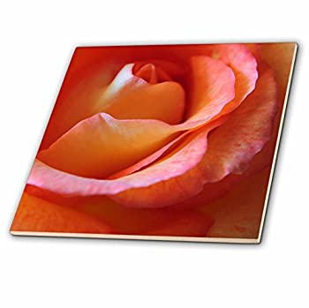 【中古】【輸入品・未使用】CT 20521?777images Photographyフローラル???Tangerine Roses flower petals closeup microイメージ???タイル 4-Inch-Ceramic ct_20521_1