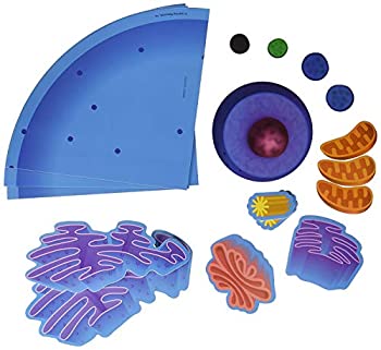 【中古】【輸入品・未使用】Magnetic Animal Cells|スカイマーケットプラス