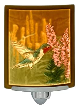 【中古】【輸入品・未使用】Sweet Nectar - 色付きカーブ磁器リトフェンナイトライト