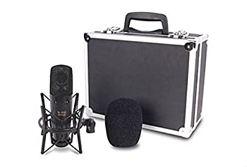 【中古】【輸入品・未使用】JAMMIN PRO B-20 PROラージデュアルダイアフラムスタジオコンデンサーマイク ■並行輸入品■|スカイマーケットプラス