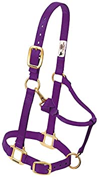 【中古】【インポート品・未当て嵌める】Weaver Leather ナイロン 細密画 馬 合わせる能力のある ホルター
