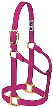 【中古】【インポート品・未当て嵌める】(Average Horse%ｶﾝﾏ% Raspberry) - Weaver Leather Original Non-Adjustable Weanling/Pony Halter