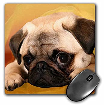 【中古】【輸入品・未使用】3Dローズ 犬パグ - パグ - マウス パッド - マウスパッド - mp_3644_1 (並行輸入)|スカイマーケットプラス