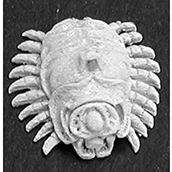 【中古】【輸入品・未使用】Acid Beetle (OOP)｜スカイマーケットプラス