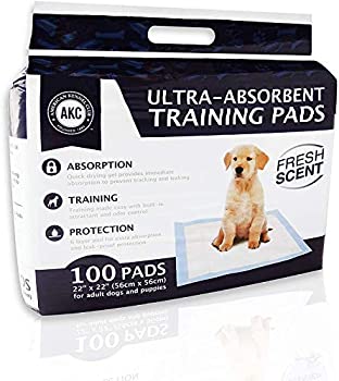 AKC Training Pads%カンマ% by American Kennel Club