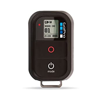 【中古】【インポート品・未当てはめる】[並行輸入品] GoPro Wi-Fiリモート ARMTE-001 ()