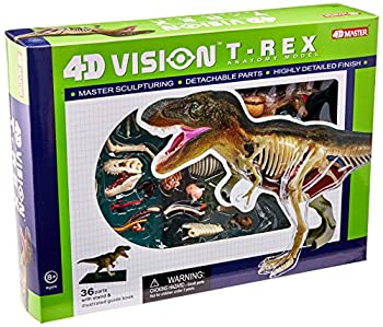 【中古】【輸入品・未使用】恐竜 T-Rex 動物 解剖 骨 模型 立体 モデル ４D 教材 入学祝い Famemaster
