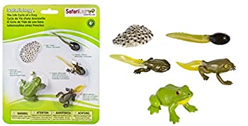 【中古】【輸入品・未使用】サファリ Science Series Life Cycle Of A Frog 269129 (並行輸入)｜スカイマーケットプラス