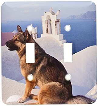 【中古】【輸入品・未使用】3dRose lsp_81834_2 ギリシャ、サントリーニ、イア、犬、ブルードーム教会 Eu12 Dgu0356 ダレル・グリン ダブルトグルスイッチ｜スカイマーケットプラス