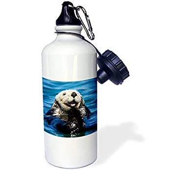 【中古】【輸入品・未使用】3dRose wb_88467_1 California Sea Otter%ｶﾝﾏ% Moss Landing%ｶﾝﾏ% California-US05 JGS0199-Jim Goldstein Sports Water Bottle%ｶﾝﾏ% 21 oz%ｶﾝﾏ% 35,143円