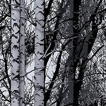 【中古】【輸入品・未使用】d-c-fix Sticky Back Plastic (self adhesive vinyl film) Wood Trees 45cm x 2m 346-0611|スカイマーケットプラス
