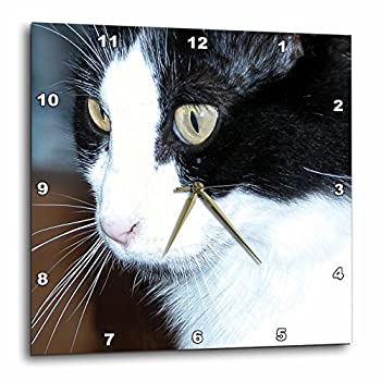 【中古】【輸入品・未使用】3dRose DPP_22419_3 Cat Stare 壁時計 15 x 15