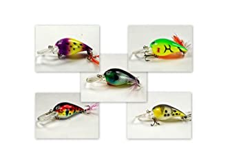 【中古】【インポート品・未当て嵌める】アクナパックの5?Little Chubby続きもの3in薄っぺら飛び込み競技つり銭ルアー しろがね色