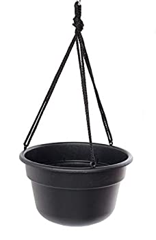 【中古】【輸入品・未使用】Bloem 12in Dura Cotta Hanging Basket Black