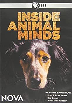 【中古】【輸入品・未使用】Nova: Inside Animal Minds [DVD] [Import]｜スカイマーケットプラス