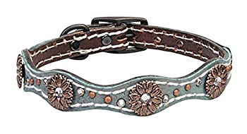 【中古】【輸入品・未使用】Weaver Pet Savannah 犬用首輪 ブラウン/メタリックターコイズ、3/4 X 17インチ｜スカイマーケットプラス