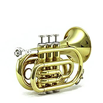 【中古】【輸入品・未使用】Bb Pocket Trumpet　Bb　ポケット　トランペット　Sky社　Gold【並行輸入】｜スカイマーケットプラス