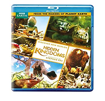 【中古】【輸入品・未使用】HIDDEN KINGDOM|スカイマーケットプラス