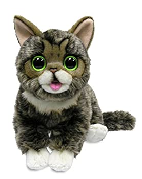 【中古】【輸入品・未使用】Cuddle Barn Lil' Bub Adorable Kitten Cat Plush Toy - CB8240 by Cuddle Barn [並行輸入品]｜スカイマーケットプラス
