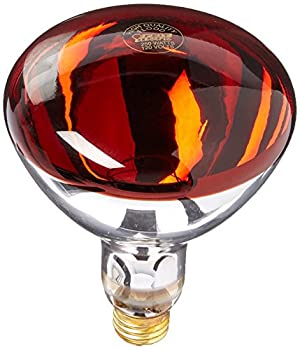【中古】【輸入品・未使用】Feit電気250?Wレッドr40熱ランプ｜スカイマーケットプラス
