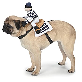 【中古】【インポート品・未当てはめる】犬乗り尻・サドル御召しもの M 並行輸入