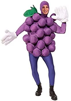 【中古】【輸入品・未使用】Purple Grapes Adult Costume One-Size 紫ブドウ大人用コスチュームワンサイズ♪ハロウィン♪サイズ：One-Size｜スカイマーケットプラス