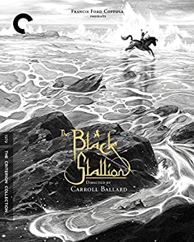【中古】【輸入品・未使用】CRITERION COLLECTION: BLACK STALLION｜スカイマーケットプラス 11,555円