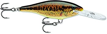 【中古】【輸入品・未使用】Rapala Shad Rap 07?LiveコクチバスLure|スカイマーケットプラス