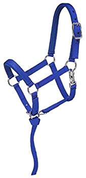 【中古】【インポート品・未当て嵌める】(Medium%ｶﾝﾏ% Blue/Royal) - Tough 1 Nylon padded Miniature Halter
