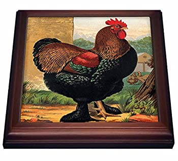 【中古】【輸入品・未使用】3drose BLNヴィンテージRoosters and Hens???Vintage Partridge Cochin Rooster、ダークグリーンとブラウン???五徳 8 x 8%ダブルクォーテ% trv_221964|スカイマーケットプラス