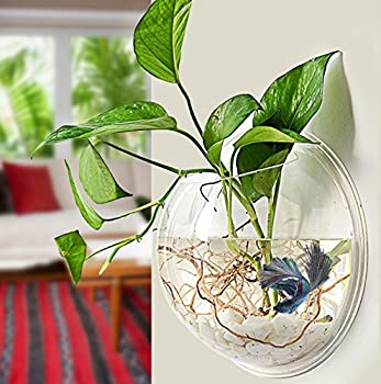 【中古】【輸入品・未使用】PRUGNA Wall-Hanging Fish Bowl Acrylic Wall-Mounted Plant Pot 1 Gallon Fish Tank 11.5-inches Decoration Planter