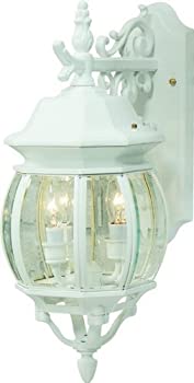 【中古】【輸入品・未使用】Artcraft Lighting AC8361RU Classico Medium European Style Outdoor Wall Mount%ｶﾝﾏ% Rust by Artcraft Lighting [並行輸入品] 26,517円