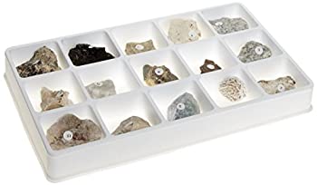 【中古】【輸入品・未使用】American Educational 15 Piece Fluorescent Minerals Short and Long Wave Collection [並行輸入品]｜スカイマーケットプラス 27,233円