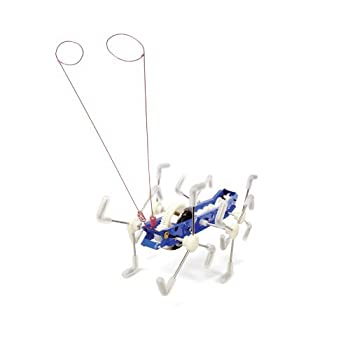 【中古】【輸入品・未使用】Kikkerland MxyKikker Windup%ｶﾝﾏ% Colors may Vary [並行輸入品]｜スカイマーケットプラス