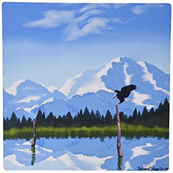 【中古】【輸入品・未使用】3dRose LLC 8 X 8 X 0.25 Inches Mount McKinley Alaska Mouse Pad (mp_27401_1) [並行輸入品]