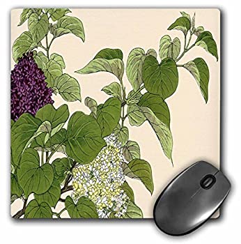 【中古】【インポート品・未当て嵌める】3dRose LLC 8 x 8 x 0.25 Inches Mouse Pad%ｶﾝﾏ% Purple and White Lilac Bushes Japanese Woodblock Print - (mp_171383_1) [並行輸入品] パソコン-その他-パソコン・周辺機器