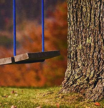 【中古】【インポート品・未当て嵌める】3dRose LLC 8 x 8 x 0.25 Inches Mouse Pad%ｶﾝﾏ% Maine Bethel Wooden Swing Hangs From A Tree Jaynes Gallery (mp_90550_1) [並行輸入品]